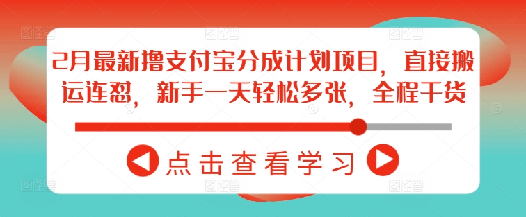 2月最新撸支付宝分成计划项目，直接搬运连怼，新手一天轻松多张，全程干货-3YVIP资源库