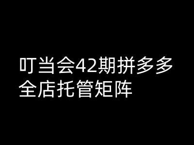 叮当会拼多多打爆班原创高阶技术第42期，拼多多全店托管矩阵-3YVIP资源库