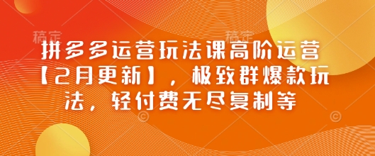 拼多多运营玩法课高阶运营【2月更新】，极致群爆款玩法，轻付费无尽复制等-3YVIP资源库
