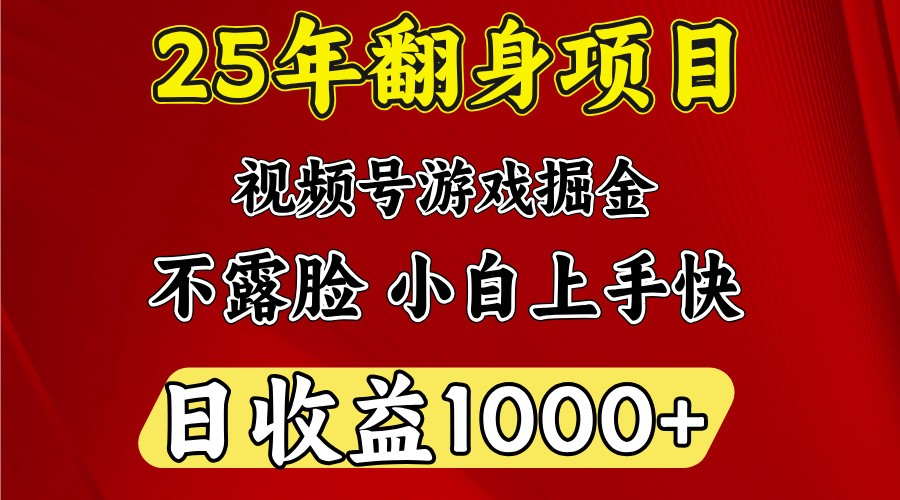 一天收益1000+ 25年开年落地好项目-3YVIP资源库