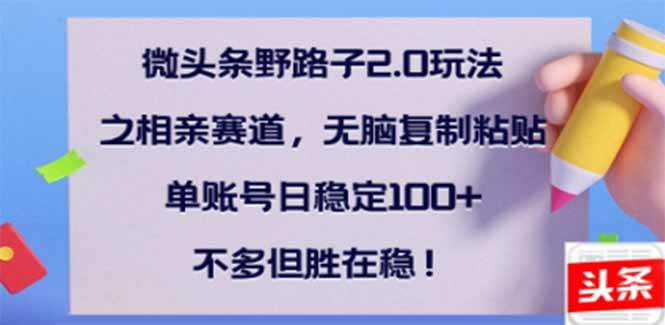 （14334期）微头条野路子2.0玩法之相亲赛道，无脑搬砖复制粘贴，单账号日稳定300+…-3YVIP资源库