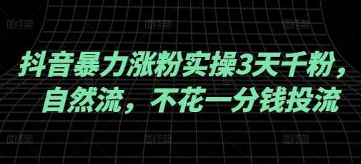 抖音暴力涨粉实操3天千粉，自然流，不花一分钱投流，实操经验分享-3YVIP资源库