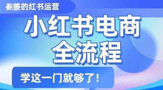 小红书电商全流程，精简易懂，从入门到精通，学这一门就够了-3YVIP资源库