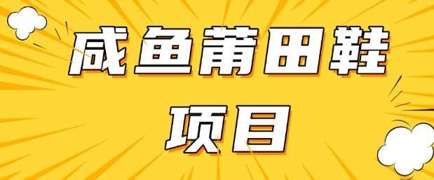 闲鱼高转化项目，手把手教你做，日入3张+(详细教程+货源)-3YVIP资源库