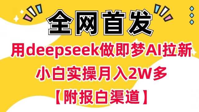 用deepseek做即梦Ai拉新 小白实操月入过W+【附报白渠道】-3YVIP资源库