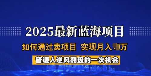 2025蓝海项目，普通人如何通过卖项目，实现月入过W，全过程【揭秘】-3YVIP资源库