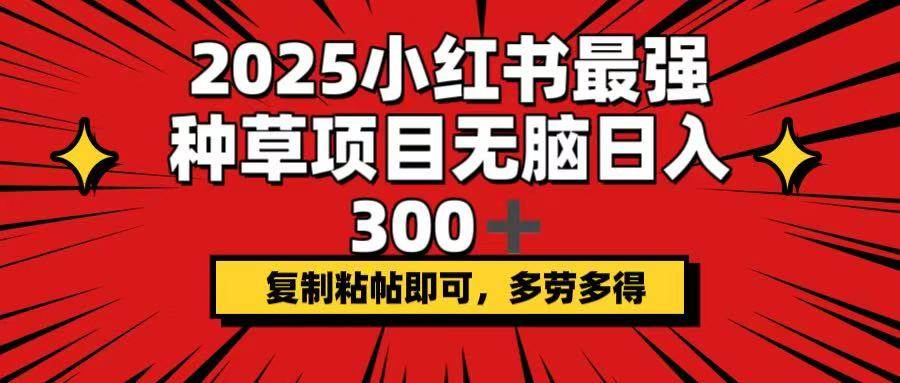 （14375期）2025小红书最强种草项目，无脑日入300+，复制粘帖即可，多劳多得-3YVIP资源库