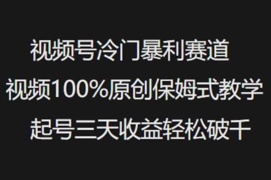 视频号冷门暴利赛道视频100%原创保姆式教学起号三天收益轻松破千-3YVIP资源库