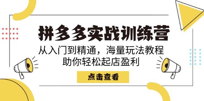 （14392期）拼多多实战训练营，从入门到精通，海量玩法教程，助你轻松起店盈利-3YVIP资源库