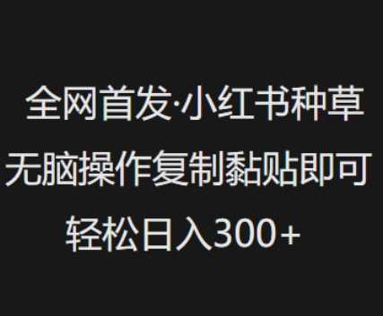 全网首发，小红书种草无脑操作，复制黏贴即可，轻松日入3张-3YVIP资源库