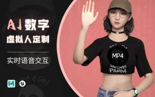 Ai数字人虚拟(智能体)实时语音交互特训营，​自行定制超写实角色AI数字人交互技术-3YVIP资源库
