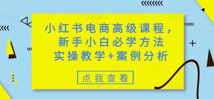 小红书电商高级课程，新手小白必学方法，实操教学+案例分析-3YVIP资源库