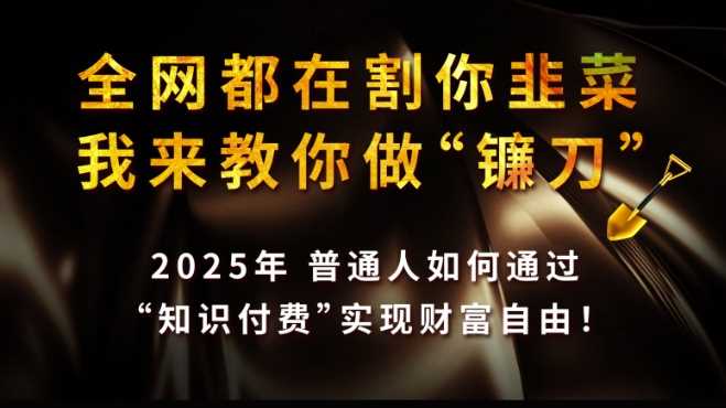 全网都在割你韭菜，我来教你做镰刀,2025普通人如何通过知识付费，实现财F自由【揭秘】-3YVIP资源库