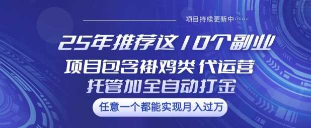 25年推荐这10个副业项目包含褂鸡类、代运营托管类、全自动打金类【揭秘】-3YVIP资源库