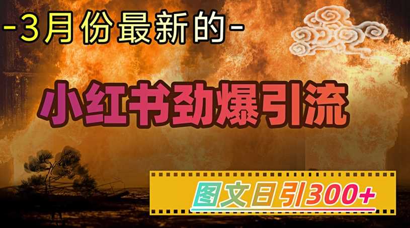 小红书超劲爆引流手段，图文日引300+轻松变现1W-3YVIP资源库