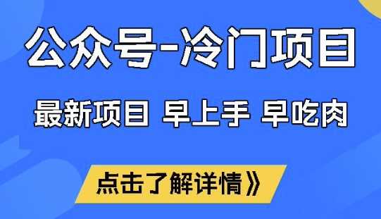 公众号冷门赛道，早上手早吃肉，单月轻松稳定变现1W【揭秘】-3YVIP资源库