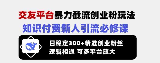 交友平台暴力截流创业粉玩法，知识付费新人引流必修课，日稳定300+精准创业粉丝，逻辑相通可多平台放大-3YVIP资源库