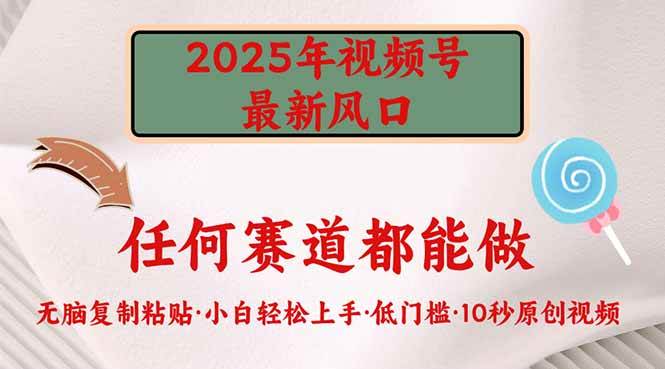 （14453期）2025年视频号新风口，低门槛只需要无脑执行-3YVIP资源库