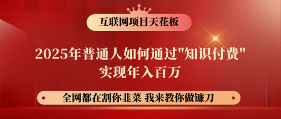镰刀训练营超级IP合伙人，25年普通人如何通过“知识付费”年入百万！-3YVIP资源库