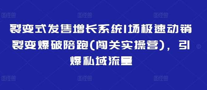 裂变式发售增长系统1场极速动销裂变爆破陪跑(闯关实操营)，引爆私域流量-3YVIP资源库