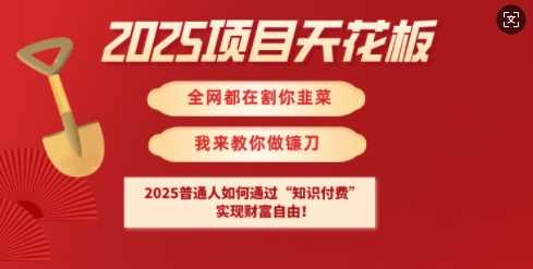 2025项目天花板普通人如何通过知识付费，实现财F自由【揭秘】-3YVIP资源库