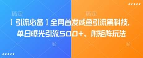 【引流必备】全网首发咸鱼引流黑科技，单日曝光引流500+，附矩阵玩法【揭秘】-3YVIP资源库