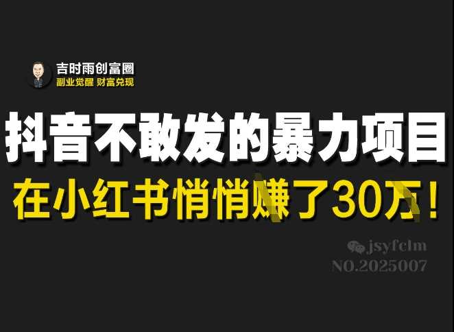 抖音不敢发的暴利项目，在小红书悄悄挣了30W-3YVIP资源库