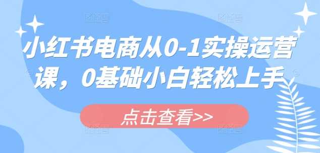 小红书电商从0-1实操运营课，0基础小白轻松上手-3YVIP资源库