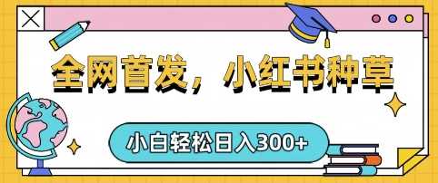 小红书种草，手机项目，日入3张，复制黏贴即可，可矩阵操作，动手不动脑【揭秘】-3YVIP资源库