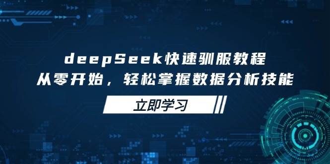 deepSeek快速驯服教程，从零开始，轻松掌握数据分析技能-3YVIP资源库