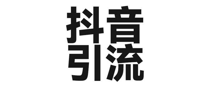 2025年抖音最新暴力引流法，只需一个视频加一段文字，简单操作，单日引300+创业粉-3YVIP资源库