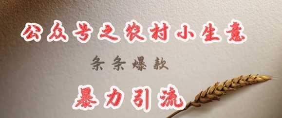 deepseek写农村小项目，条条爆款，暴力引流-3YVIP资源库