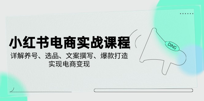 （14549期）小红书电商实战课程，详解养号、选品、文案撰写、爆款打造，实现电商变现-3YVIP资源库