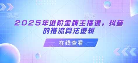 2025年进阶金牌主播课，抖音的推流算法逻辑-3YVIP资源库