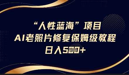 人性蓝海AI老照片修复项目保姆级教程，长期复购，轻松日入5张-3YVIP资源库
