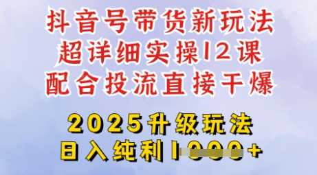 2025全新升级抖音带货玩法，一天纯利四位数，从剪辑到选品再到发布投流，超详细玩法揭秘-3YVIP资源库