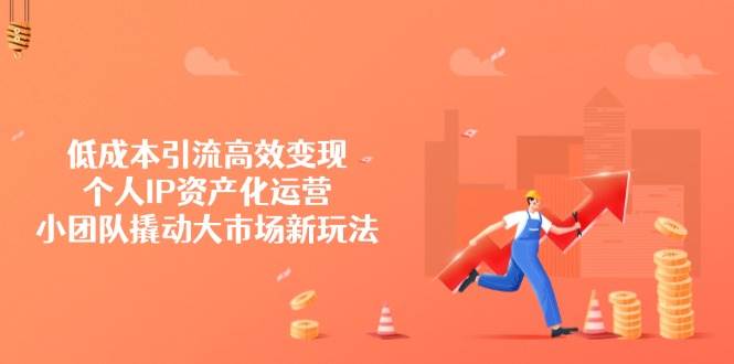 低成本引流高效变现，个人IP资产化运营，小团队撬动大市场新玩法-3YVIP资源库