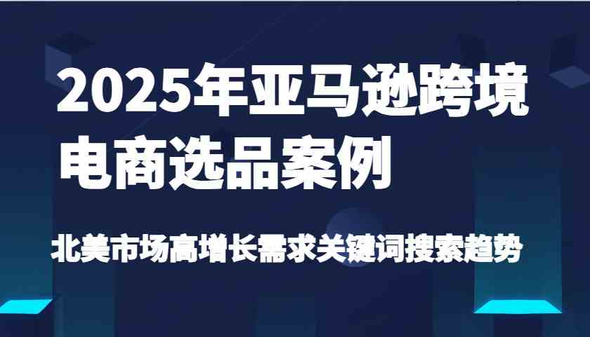 2025年亚马逊跨境电商选品案例-北美市场高增长需求关键词搜索趋势（更新)-3YVIP资源库