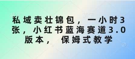 私域卖壮锦包，一小时3张，小红书蓝海赛道3.0版本， 保姆式教学-3YVIP资源库