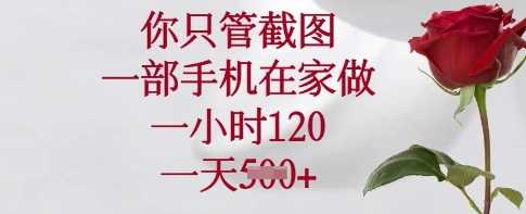 你只管截图，一部手机在家做，一小时120.一天5张【揭秘】-3YVIP资源库