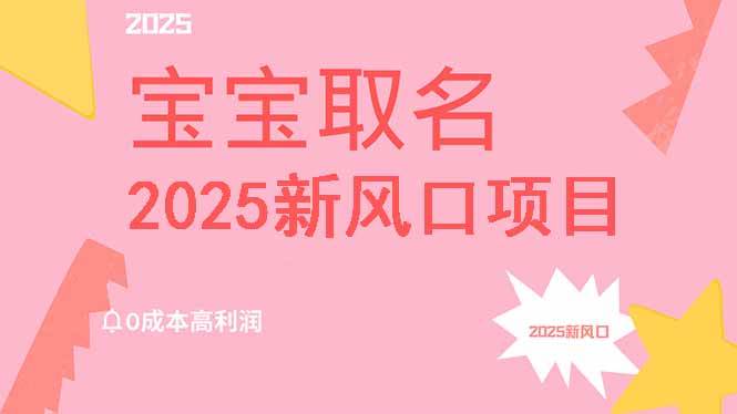 （14593期）2025新风口项目宝宝取名，0成本高利润，附保姆级教程，月入过万不是梦-3YVIP资源库