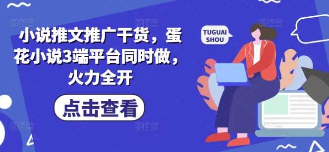 小说推文推广干货，蛋花小说3端平台同时做，火力全开-3YVIP资源库
