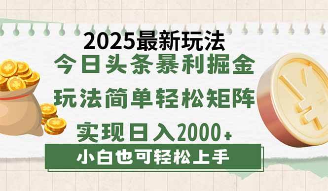 （14120期）今日头条2025最新玩法，思路简单，复制粘贴，轻松实现矩阵日入2000+-3YVIP资源库