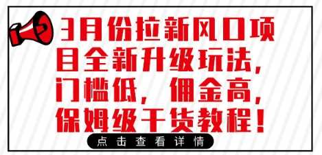 3月份拉新风口项目全新升级玩法，门槛低，佣金高，保姆级干货教程-3YVIP资源库