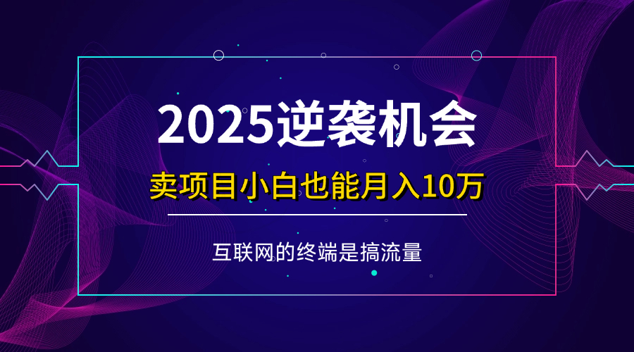 （14122期）项目标题：2025逆袭机会，卖项目小白也能轻松月入10万+-3YVIP资源库