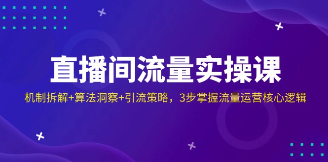 （14122期）直播间流量实操课：机制拆解+算法洞察+引流策略，3步掌握流量运营核心逻辑-3YVIP资源库