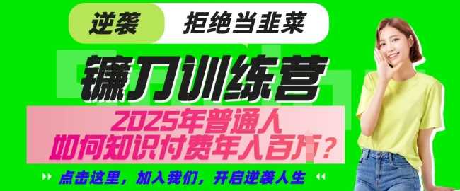 【网创项目终点站-镰刀训练营超级IP合伙人】25年普通人如何通过知识付费实现逆袭【揭秘】-3YVIP资源库