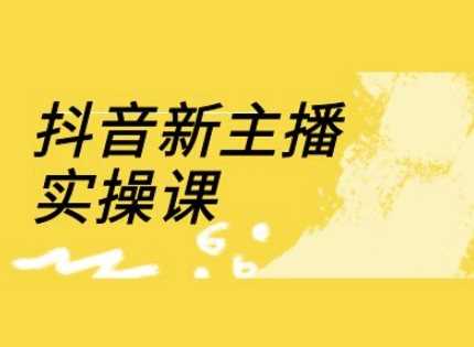 抖音新主播实操课，直播间流量运营线上实操课(18节)-3YVIP资源库