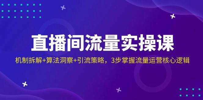 直播间流量实操课：机制拆解+算法洞察+引流策略，3步掌握流量运营核心逻辑-3YVIP资源库