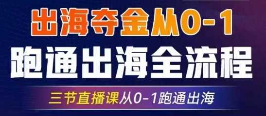 2025出海夺金从0-1跑通出海全流程，三节直播课从0-1跑通出海，教你用AI跑通全流程-3YVIP资源库